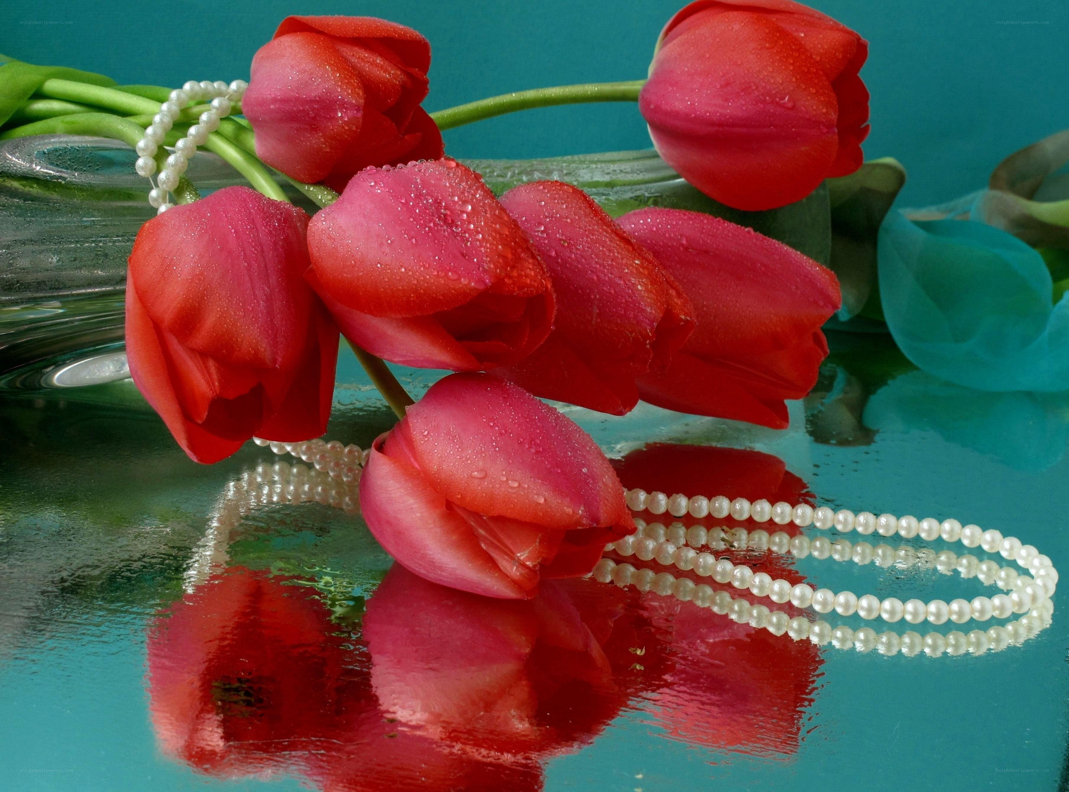 Red tulips with pearls