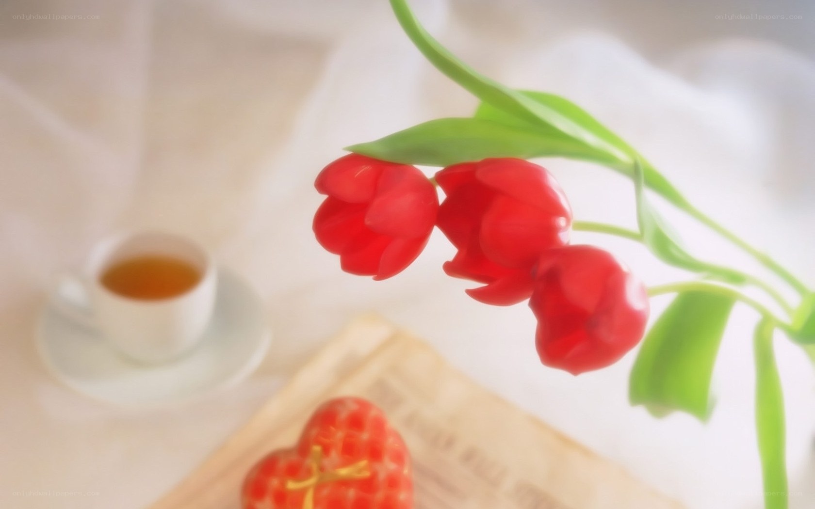 Red tulips with tea and heart