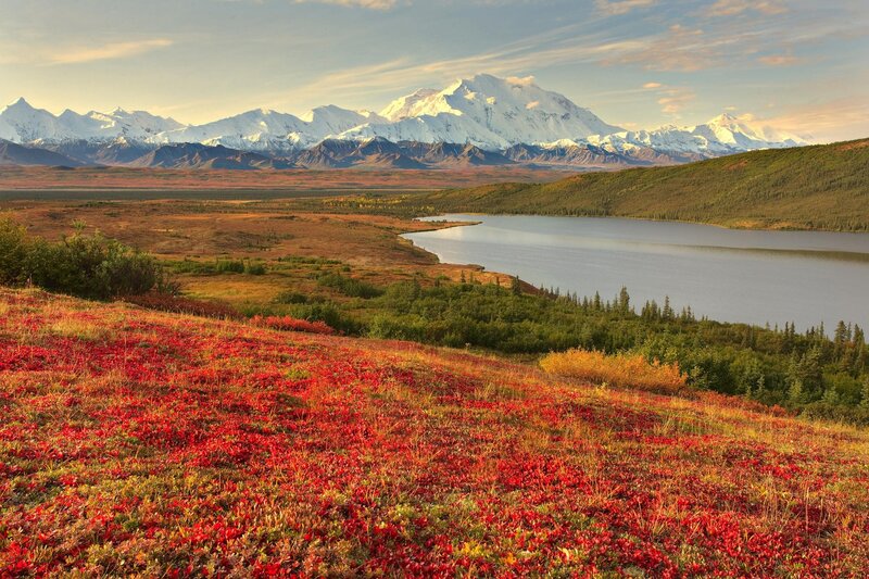 Red Tundra Flowers — Serene, Sunset, Photograph, Mountains, Lake
