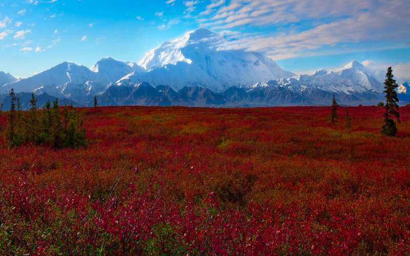 Red tundra under snow-capped mountains