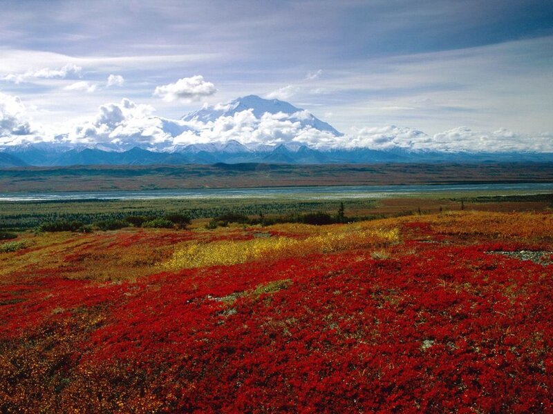 Red tundra with mountain view