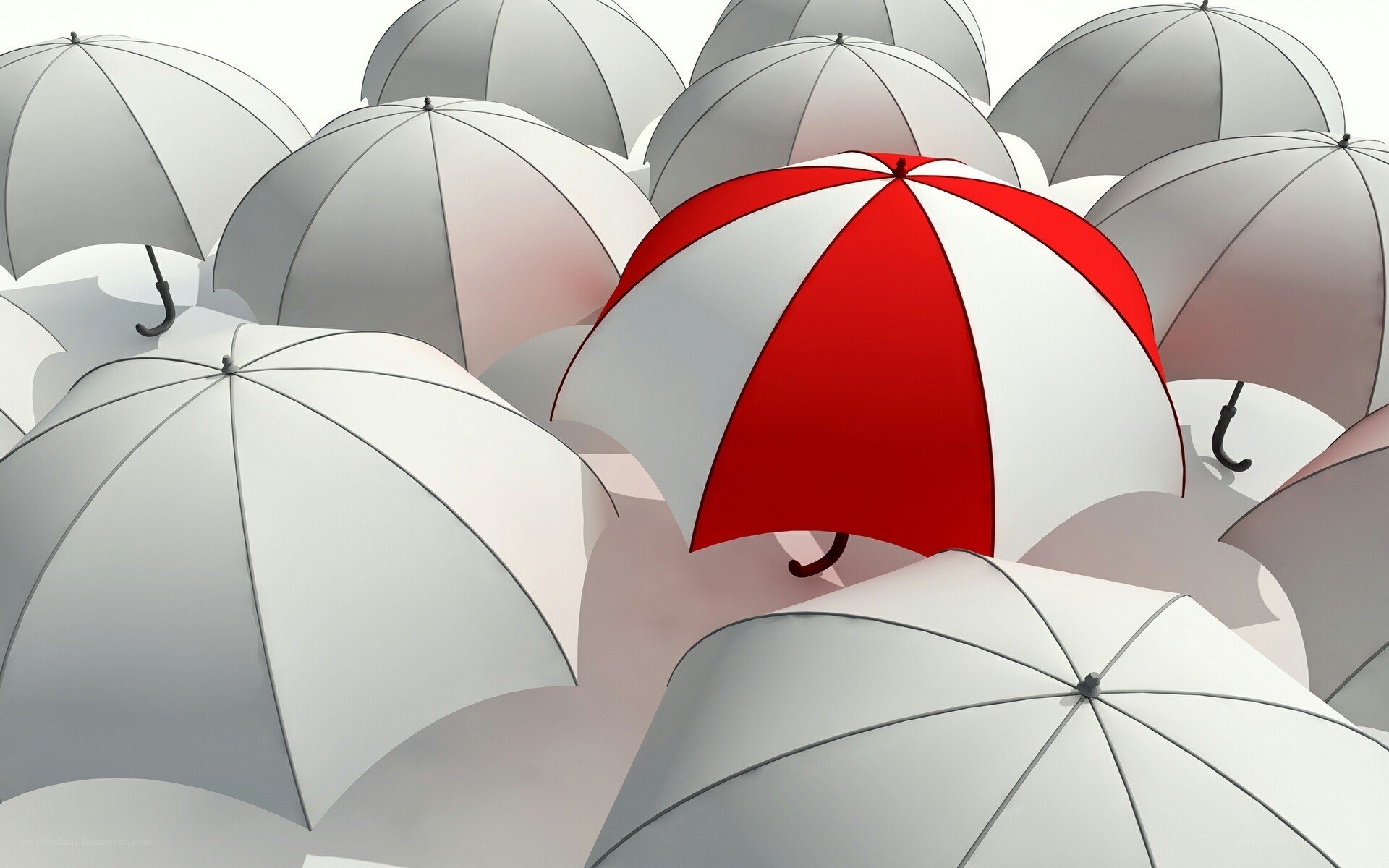 Red umbrella among white ones