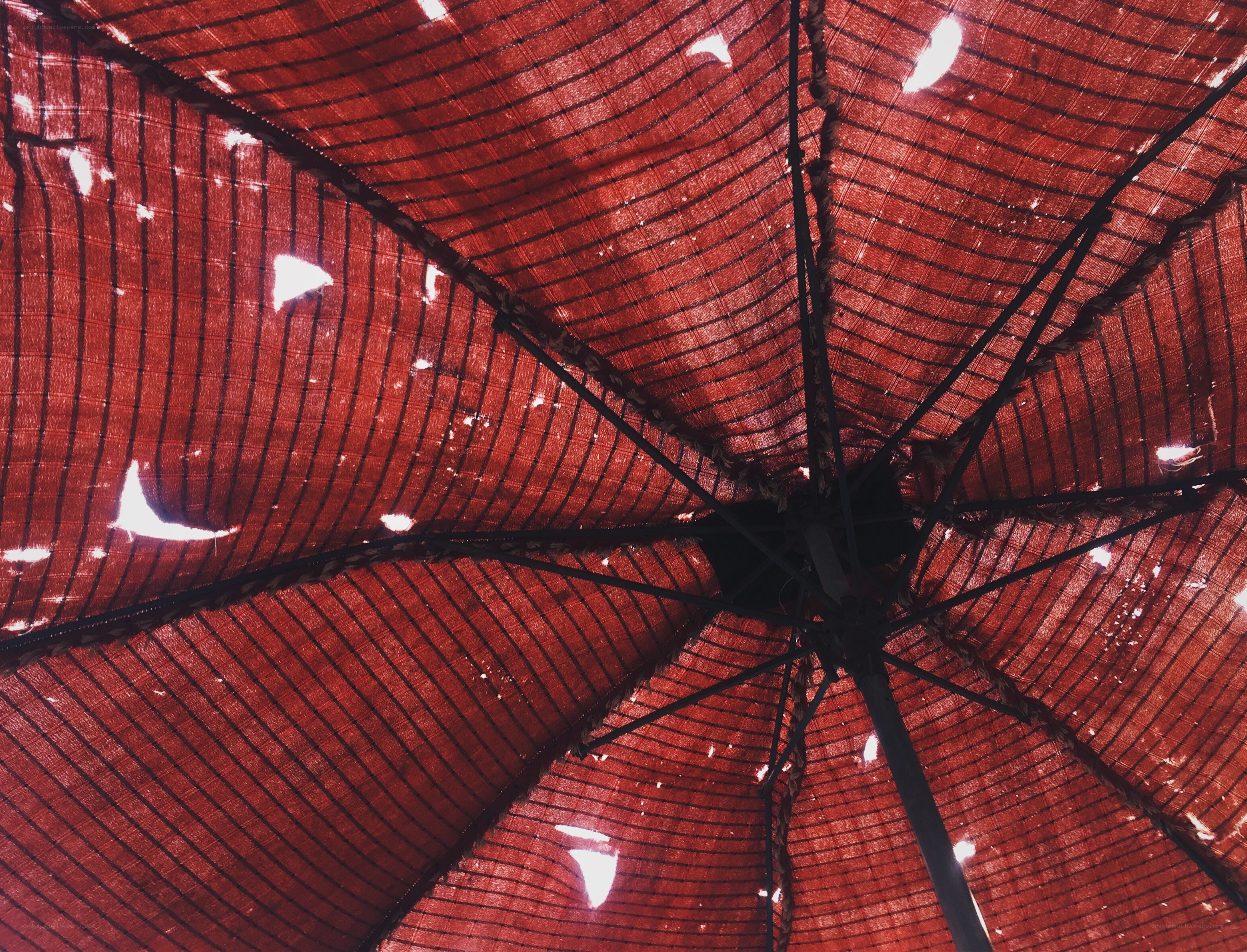 red umbrella canopy view