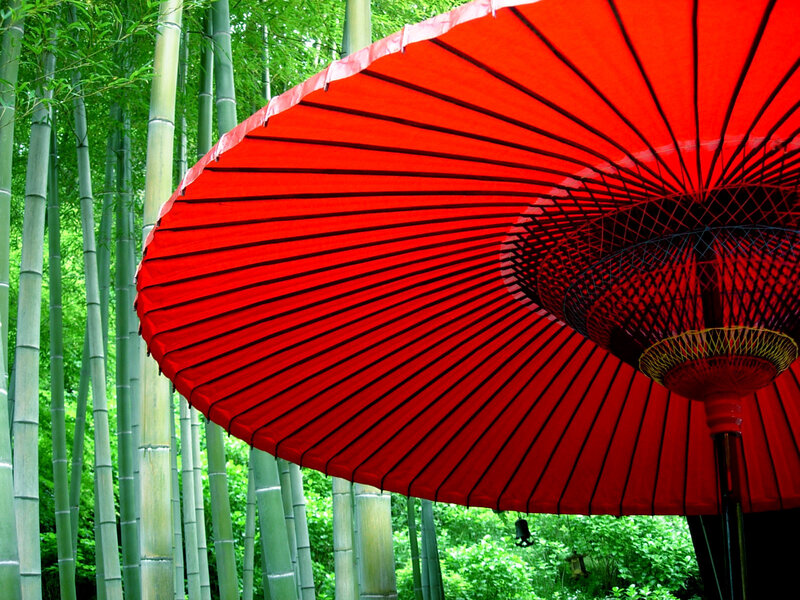 Red umbrella in bamboo forest