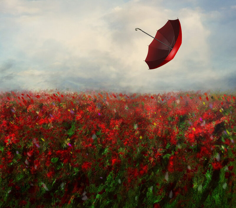 Red Umbrella in Field — Dreamy