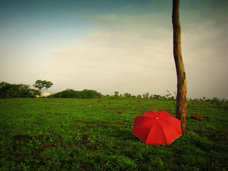 Red Umbrella in Field — Green, Serene