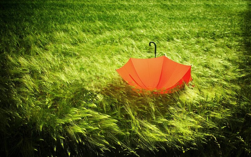 Red Umbrella in Field — Green