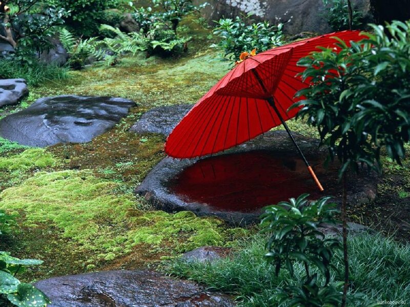Red Umbrella in Garden — Serene