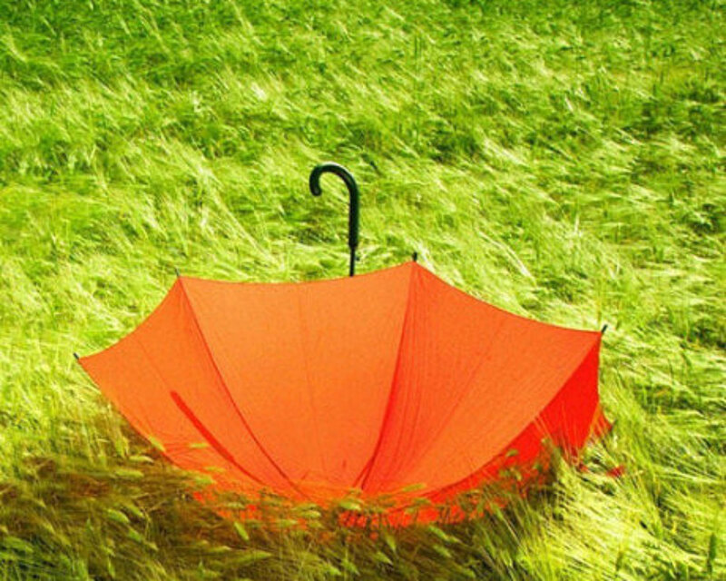 Red Umbrella in Grass