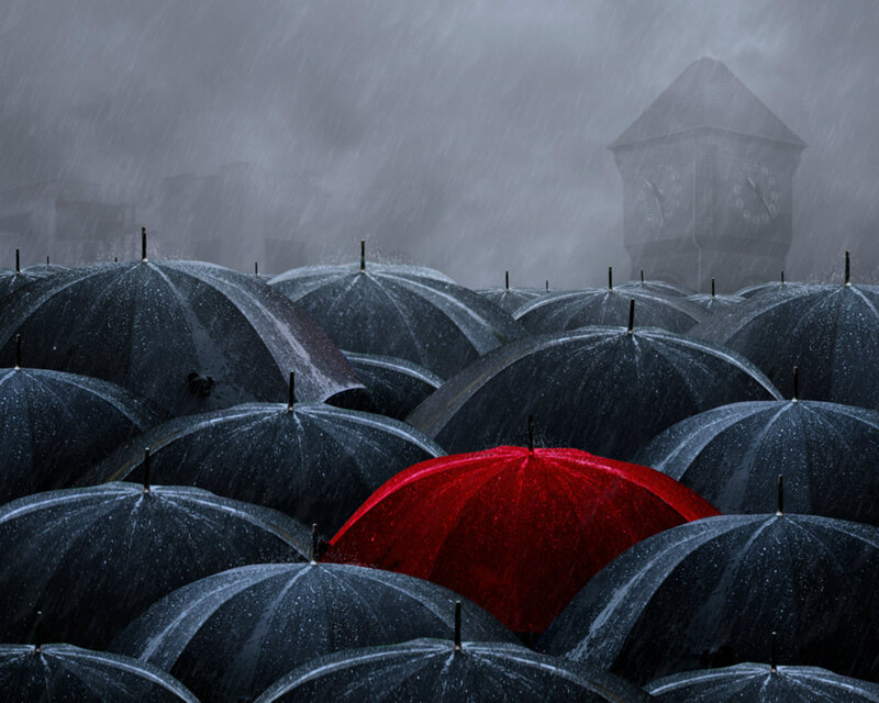 Red Umbrella in Rain — Black