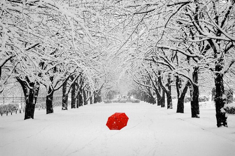 Red Umbrella in Snow — White