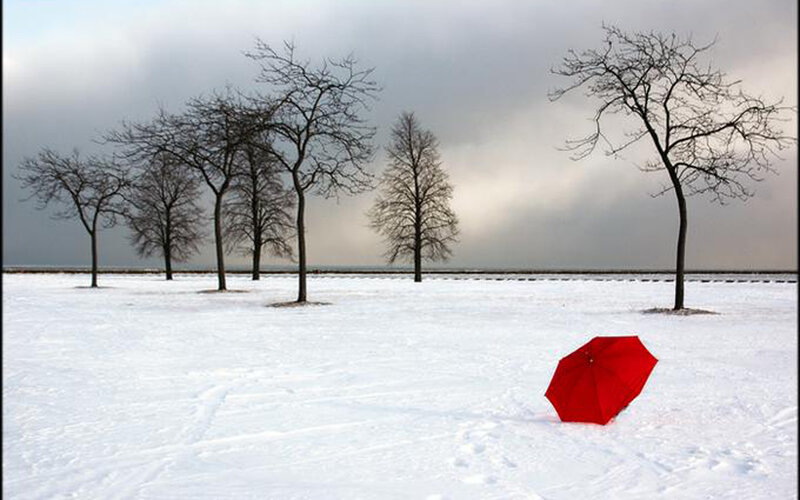 Red umbrella in snowy field