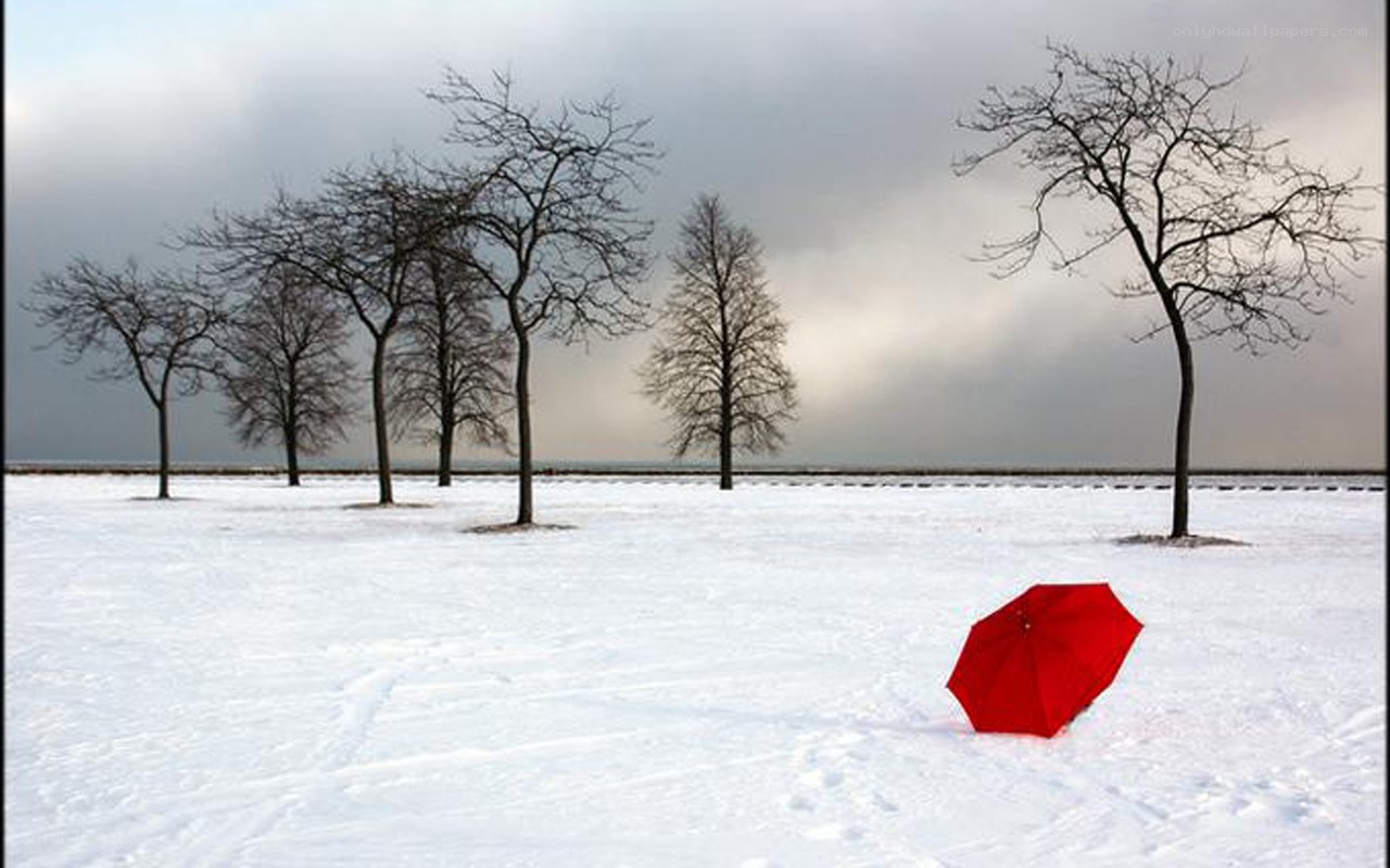 Red umbrella in snowy field