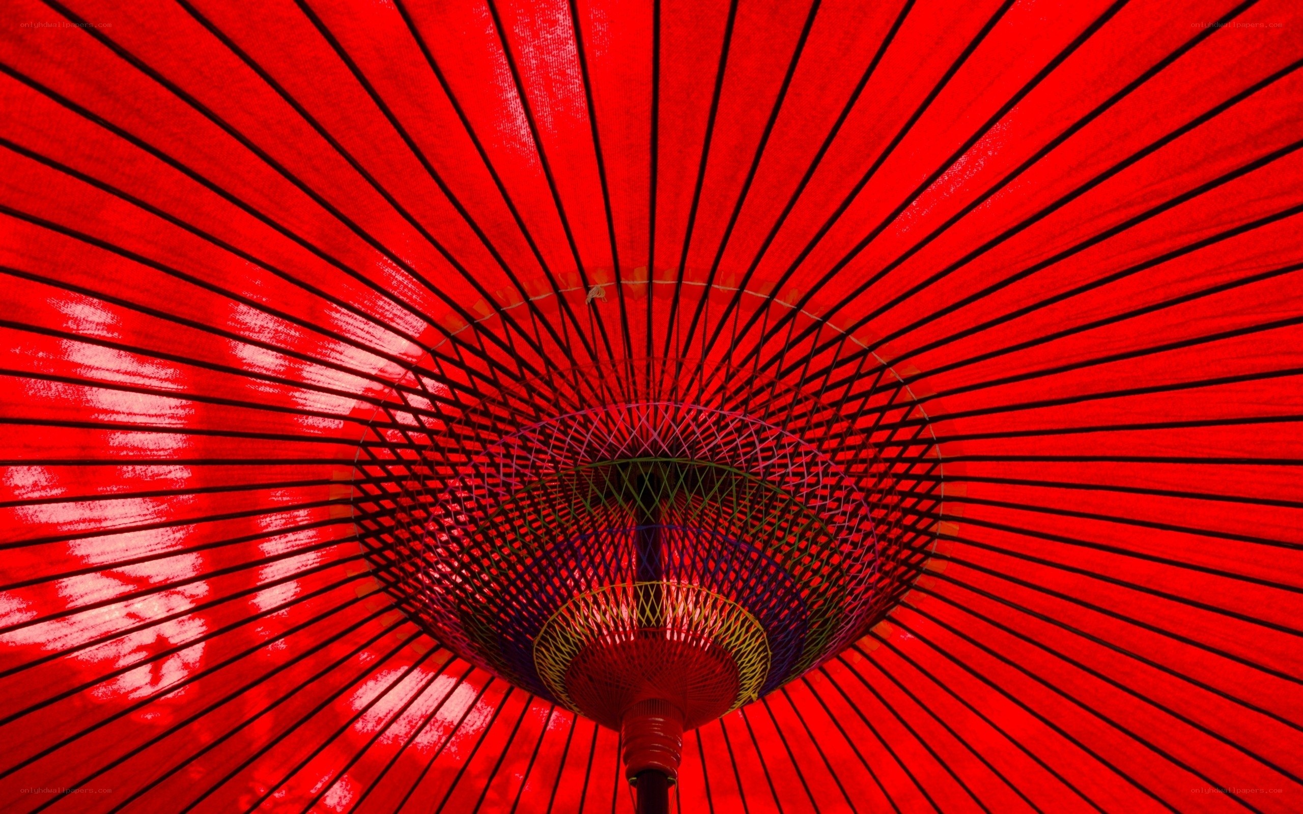 Red Umbrella Interior View