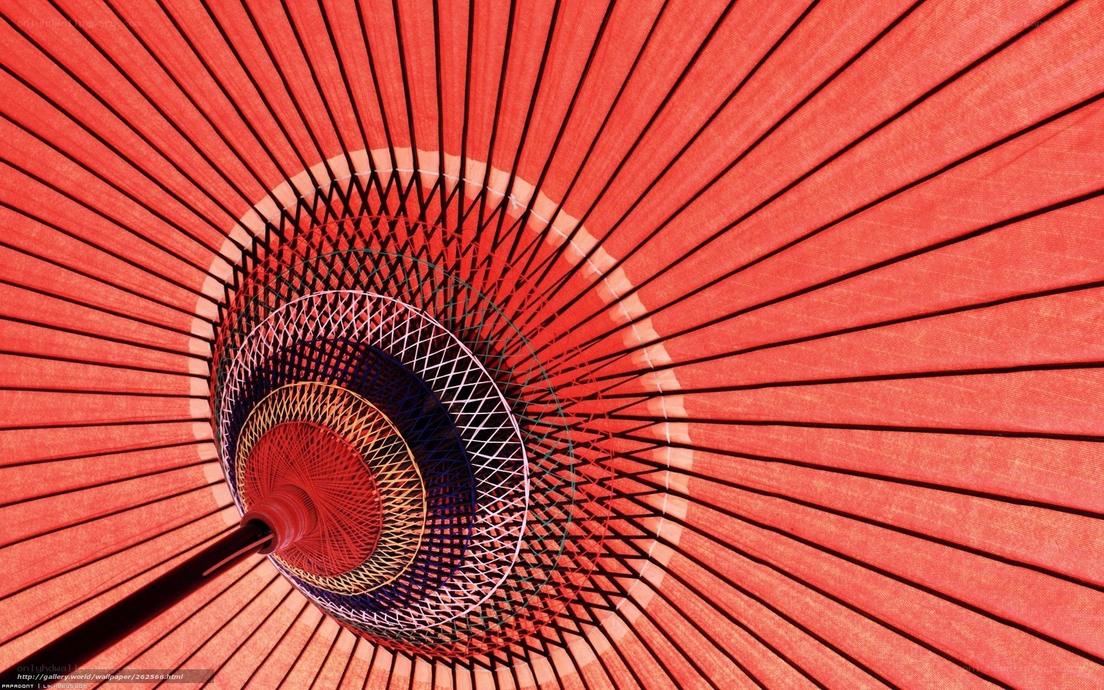 Red Umbrella Interior