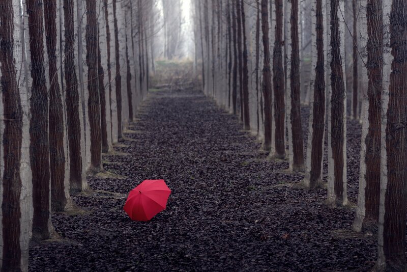 Red Umbrella on Path — Somber