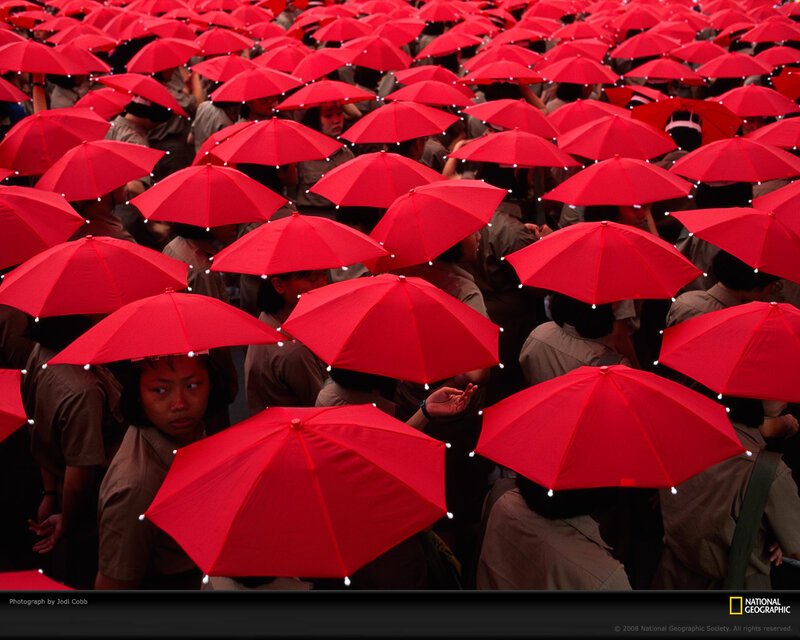 Red Umbrellas at a Gathering