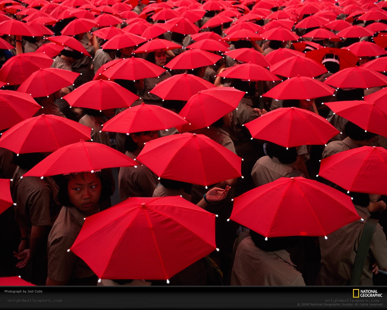 Red Umbrellas at a Gathering