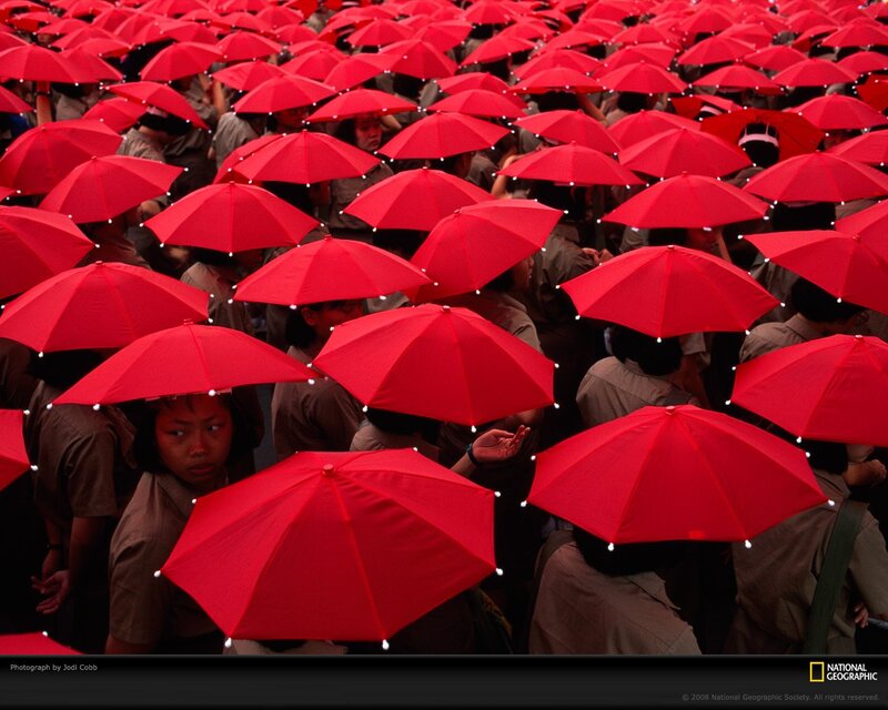 Red umbrellas at a gathering