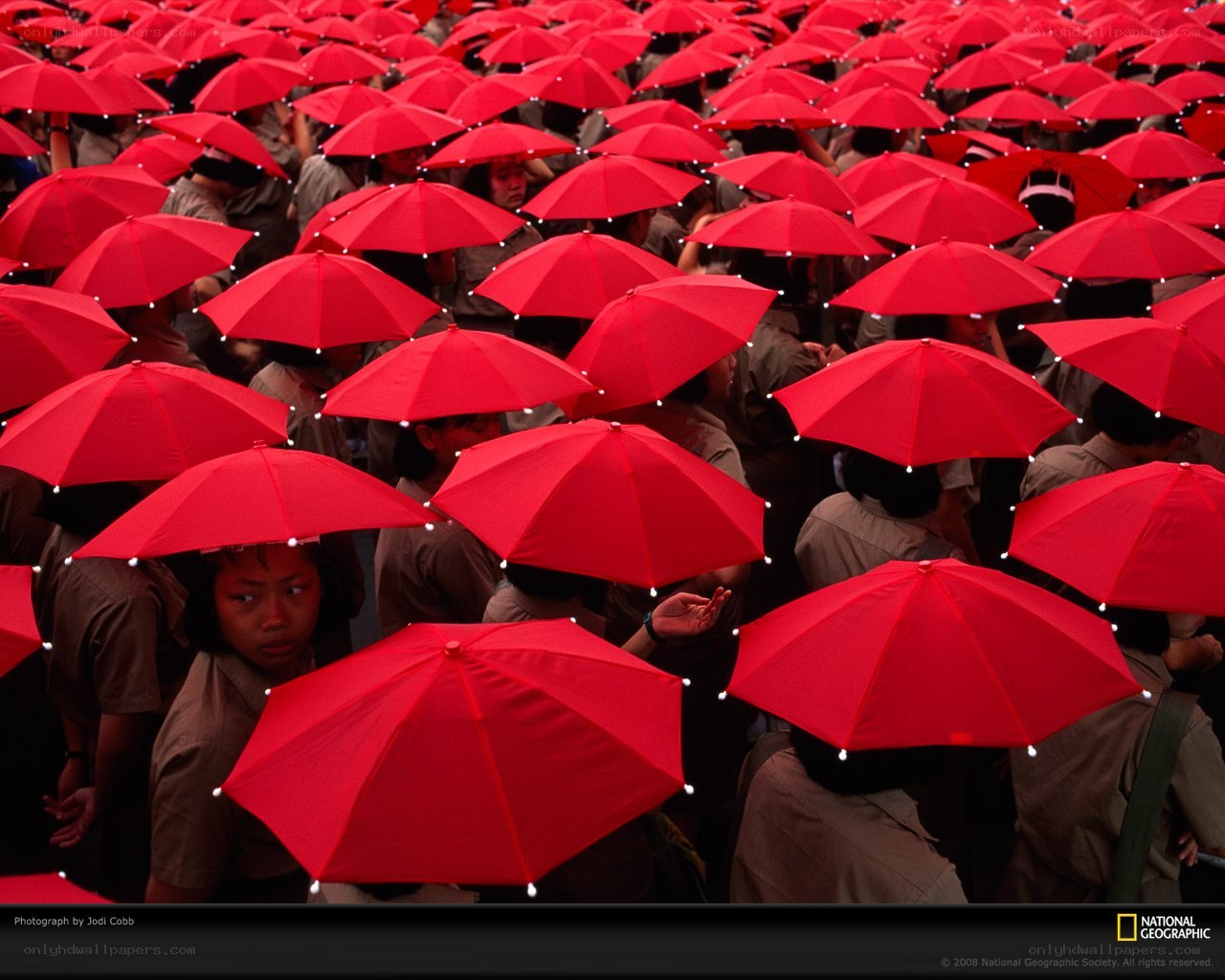 Red umbrellas at a gathering