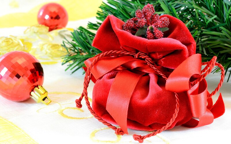 Red Velvet Gift Pouch — Festive, Winter
