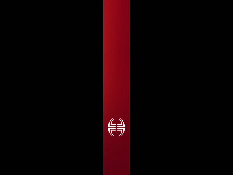 red vertical bar with logo