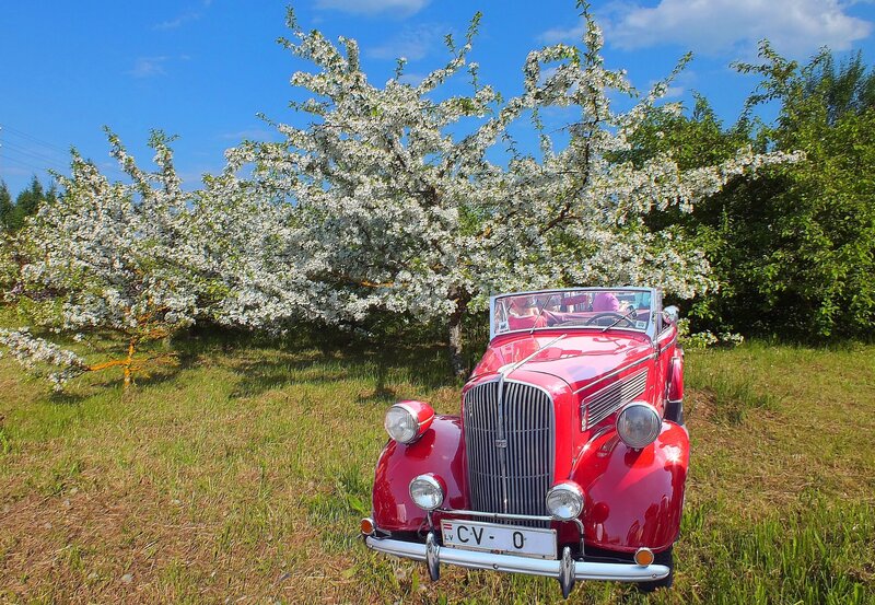 Red Vintage Car — Serene, Spring