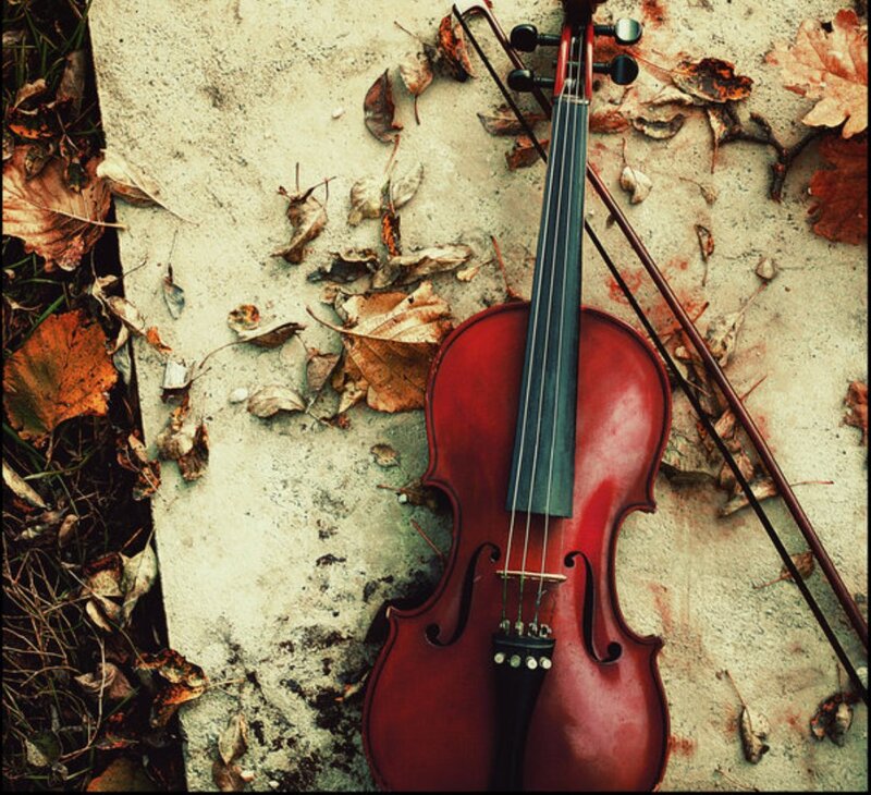 Red Violin on Ground — Melancholic