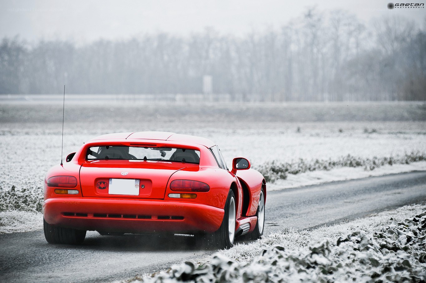 Red Viper on a snowy road