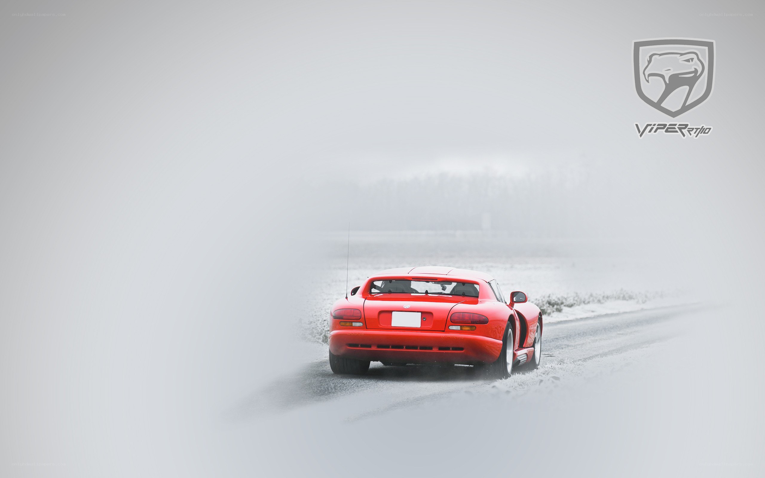 Red Viper on snowy road