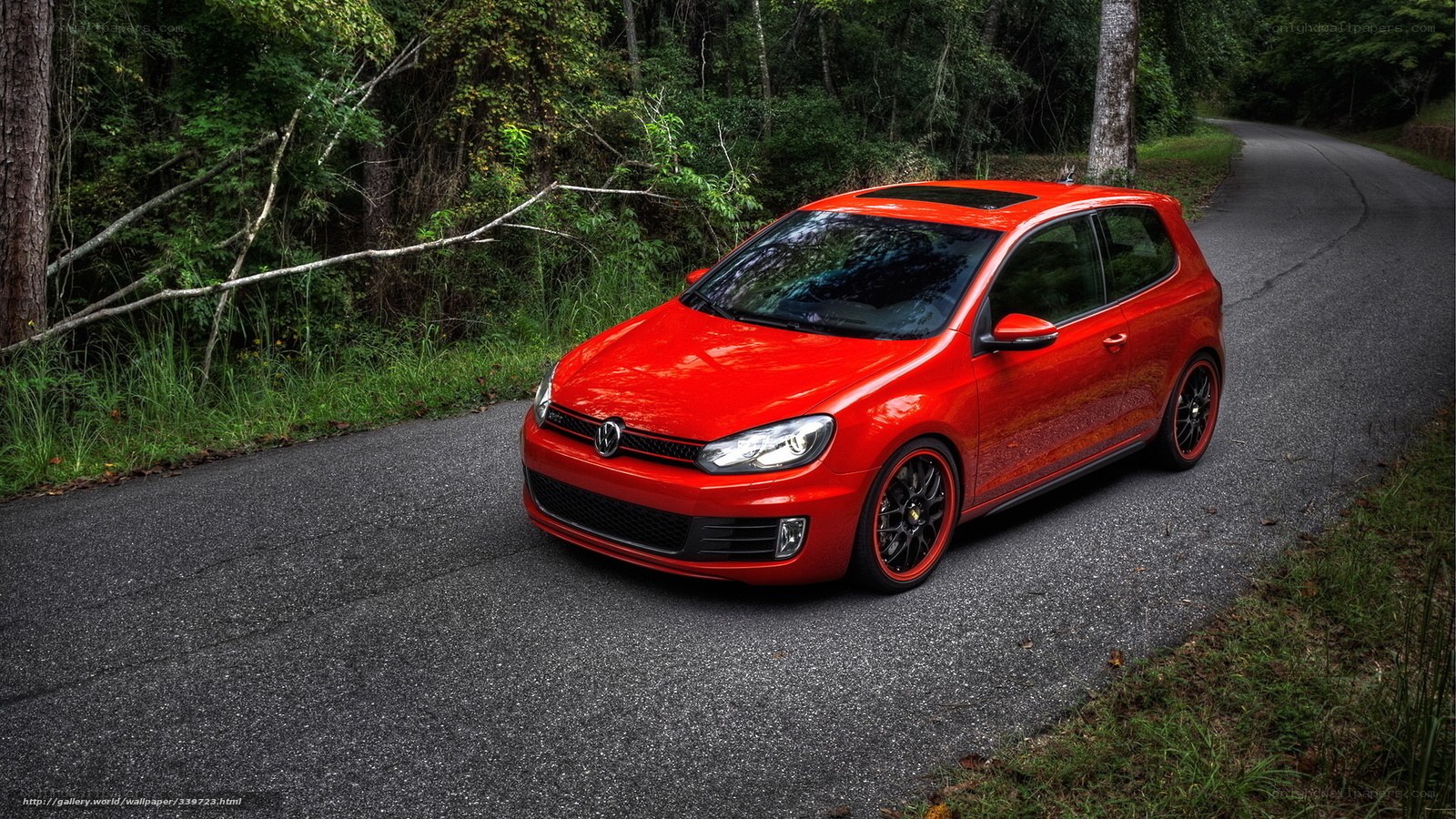 Red Volkswagen Golf on forest road