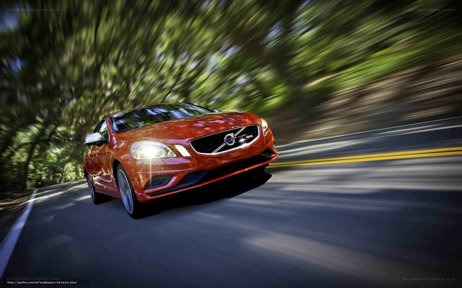 Red Volvo driving on forest road