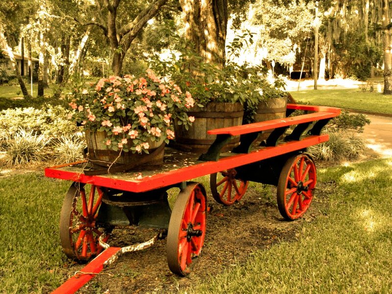 Red Wagon with Flowers