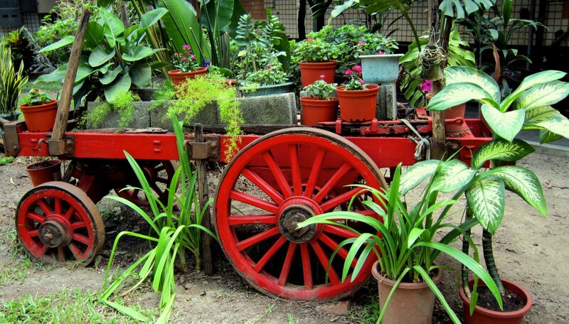 Red Wagon with Plants