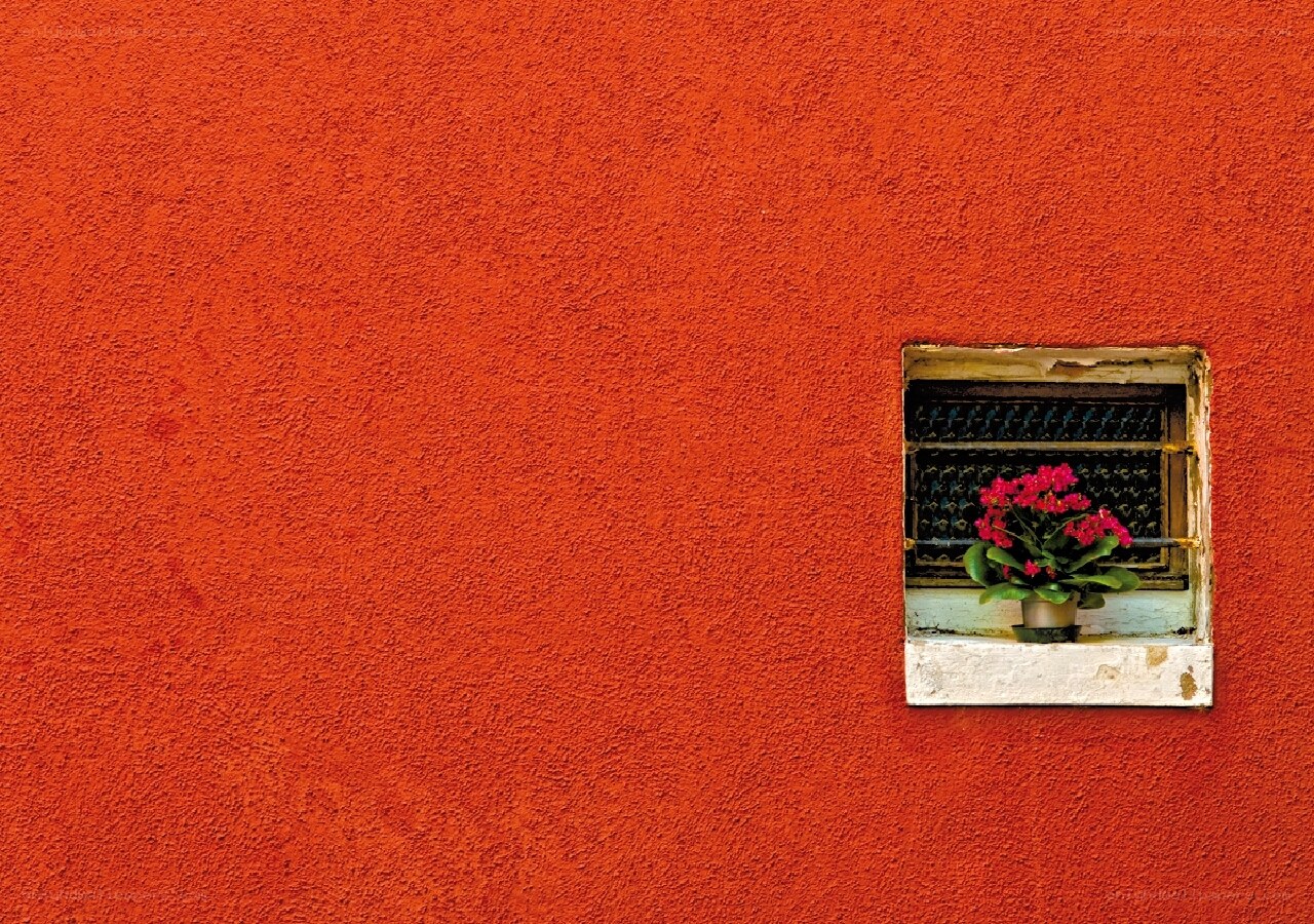 Red wall with window and flowers