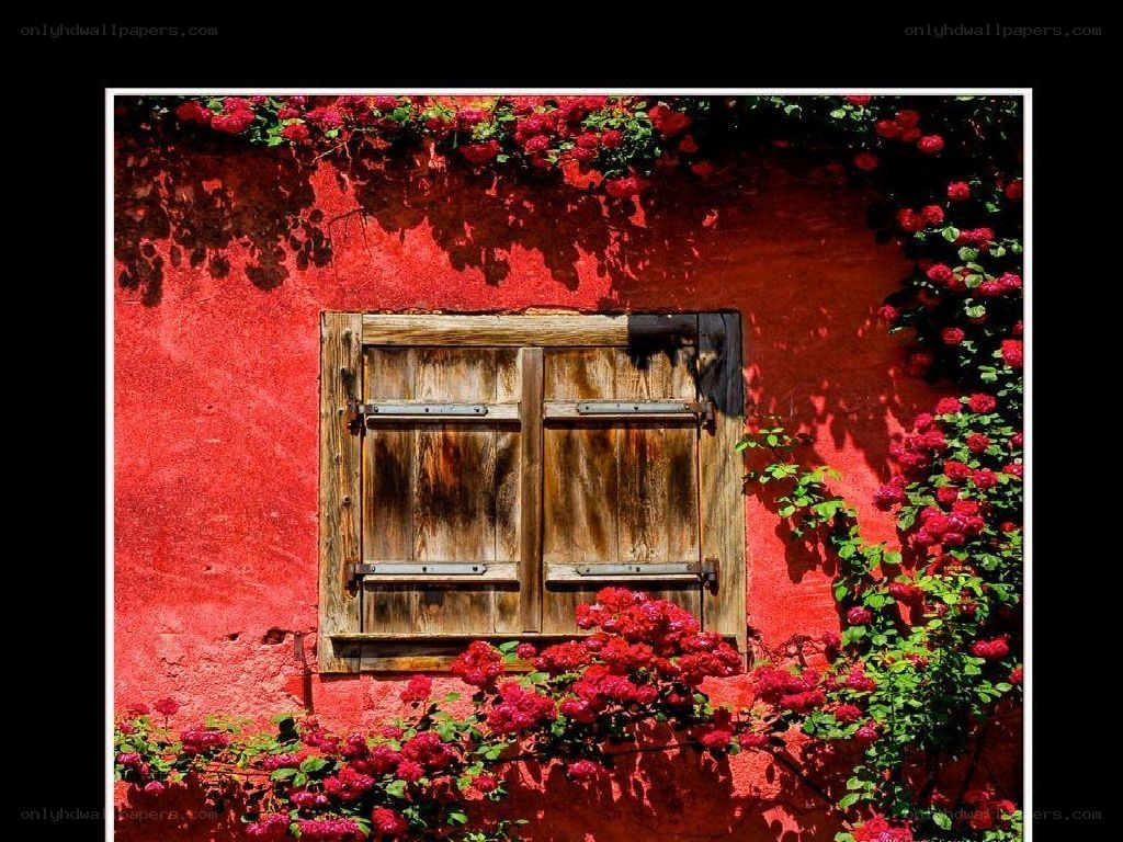 Red wall with wooden shutters