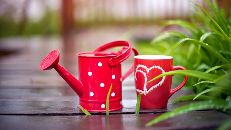 Red Watering Can and Mug — Serene