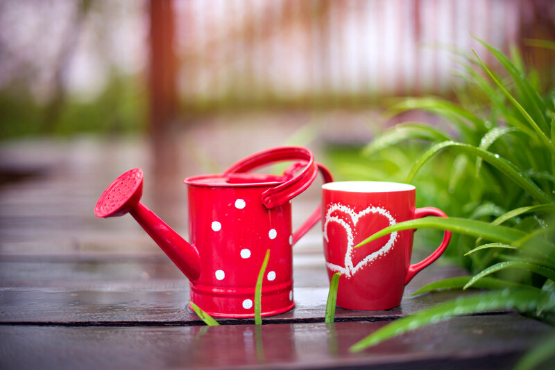 Red Watering Can and Mug