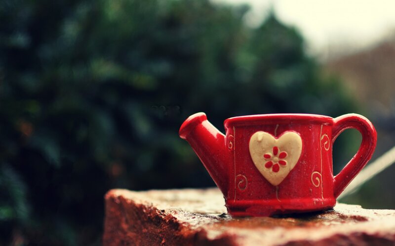 Red Watering Can