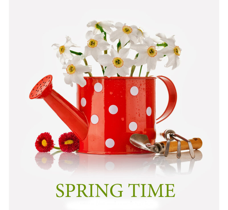 Red Watering Can with Flowers — Serene