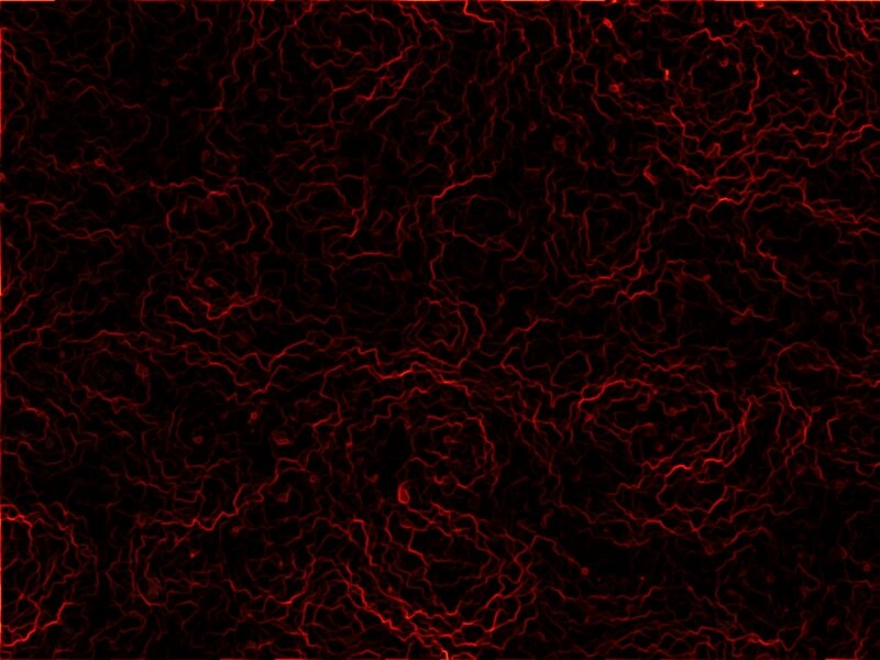 Red Web-like Pattern