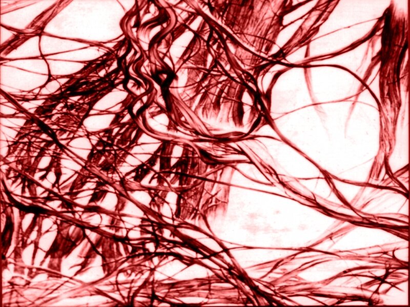 Red web of tangled lines