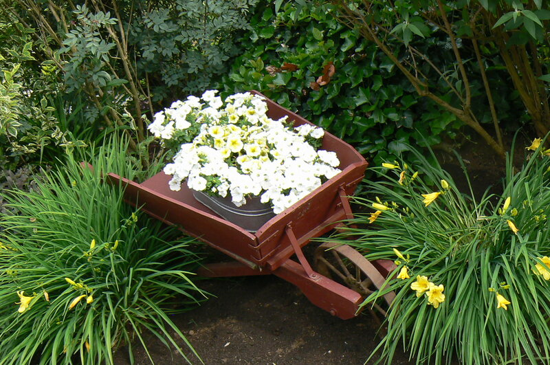Red Wheelbarrow with Flowers