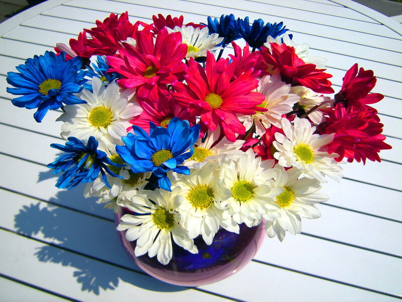 Red White and Blue Daisies