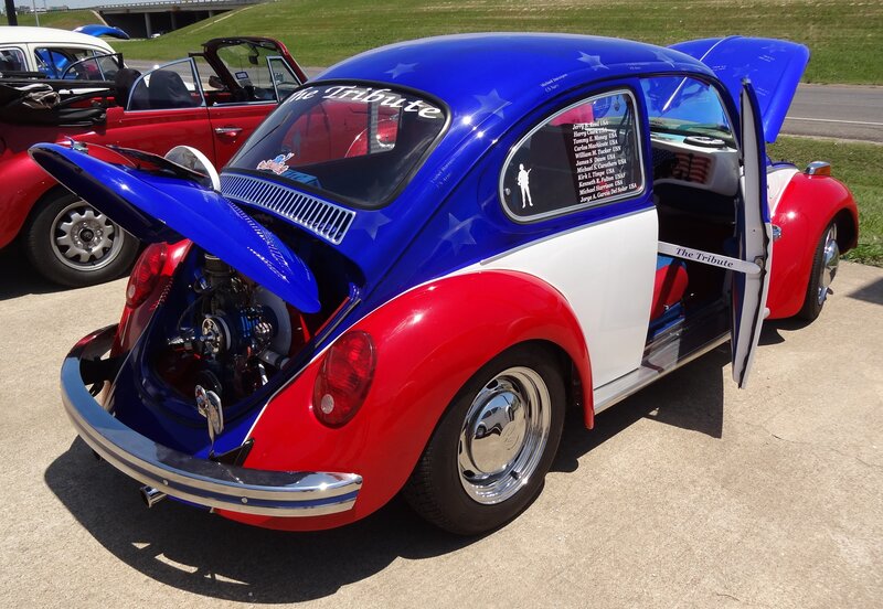 Red White Blue Beetle