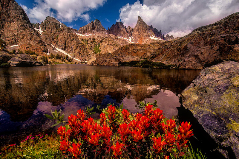 Red Wildflowers by Lake — Dramatic