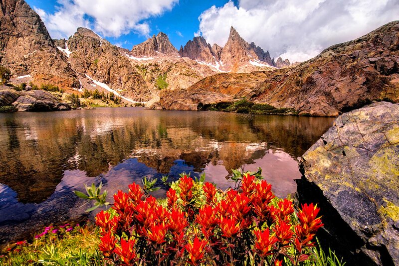 Red Wildflowers by Lake