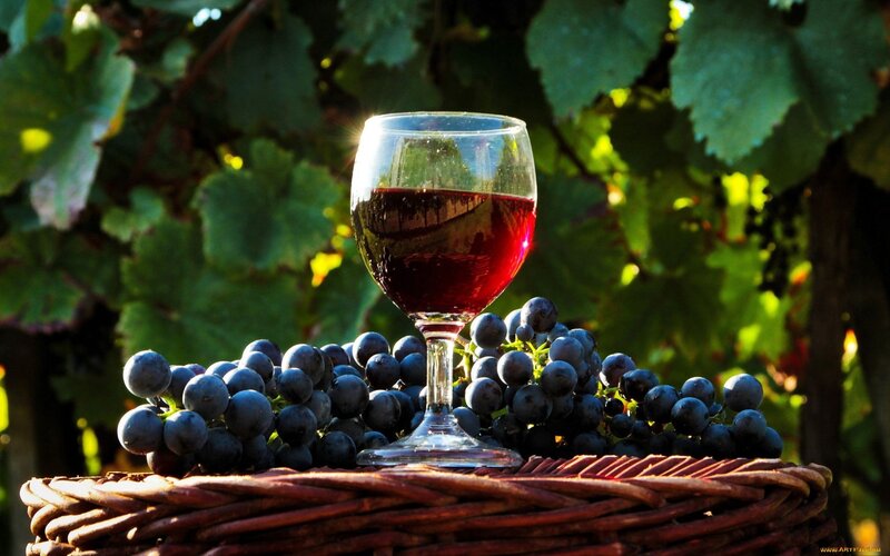 Red wine and grapes in basket