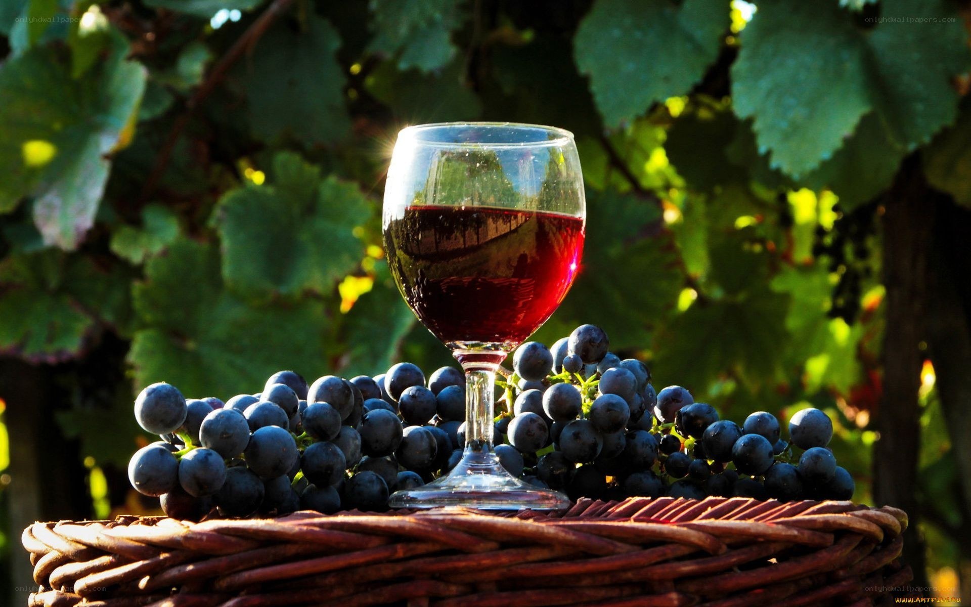 Red wine and grapes in basket