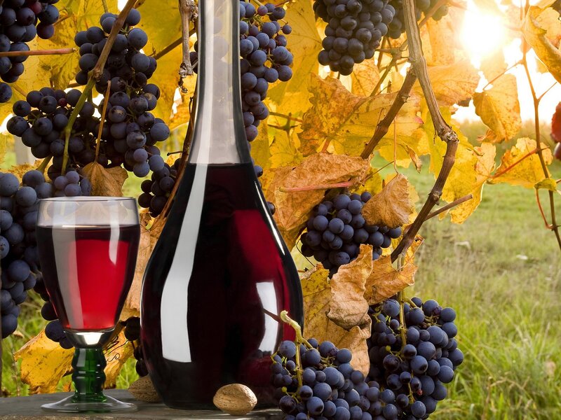 Red Wine and Grapes — Serene, Autumn